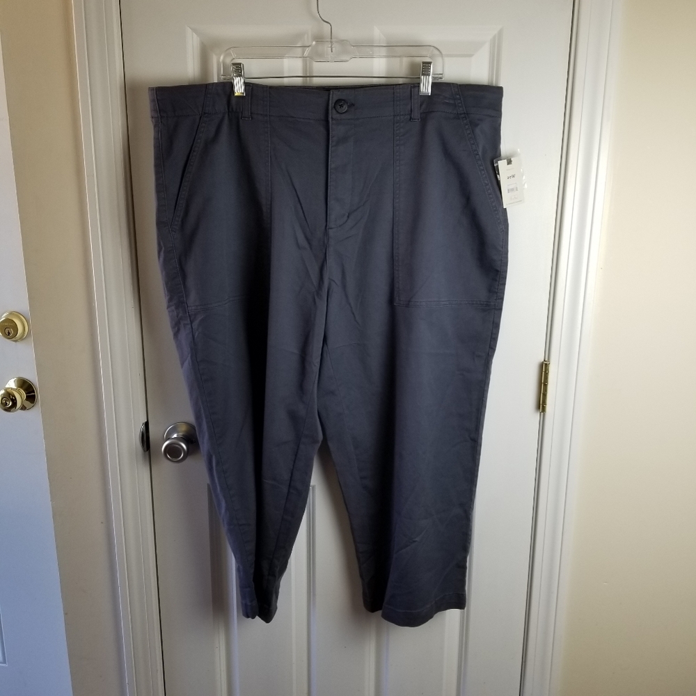 Terra & Sky Womens Gray Capris Size 20W